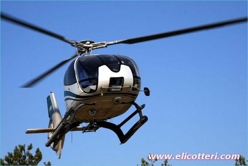 elifoto (157)